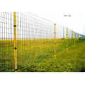 PVC Coated Euro Fence in Good Quality